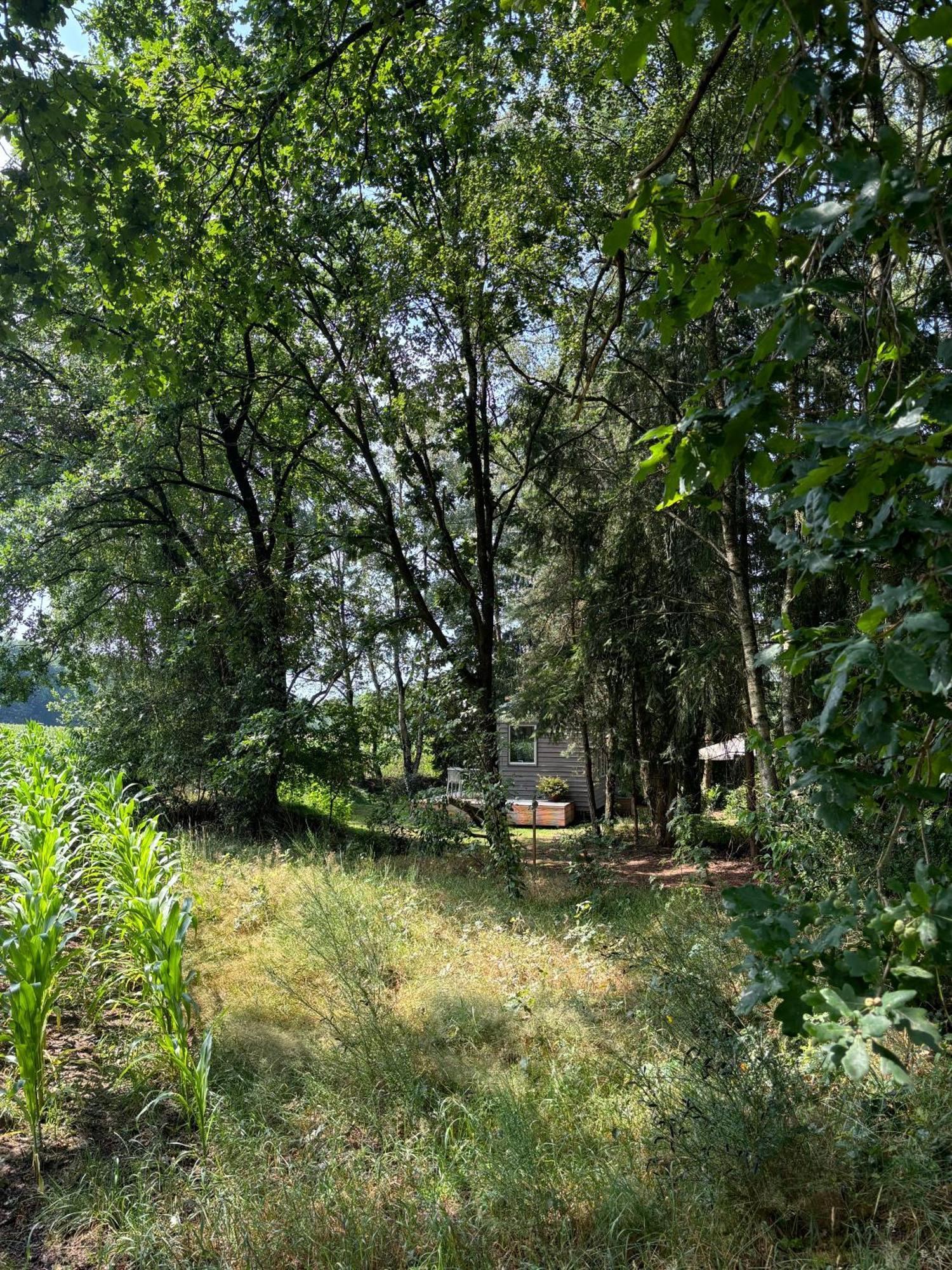 Tiny House Mit Garten In Der Lueneburger Heide Soltau Exterior foto